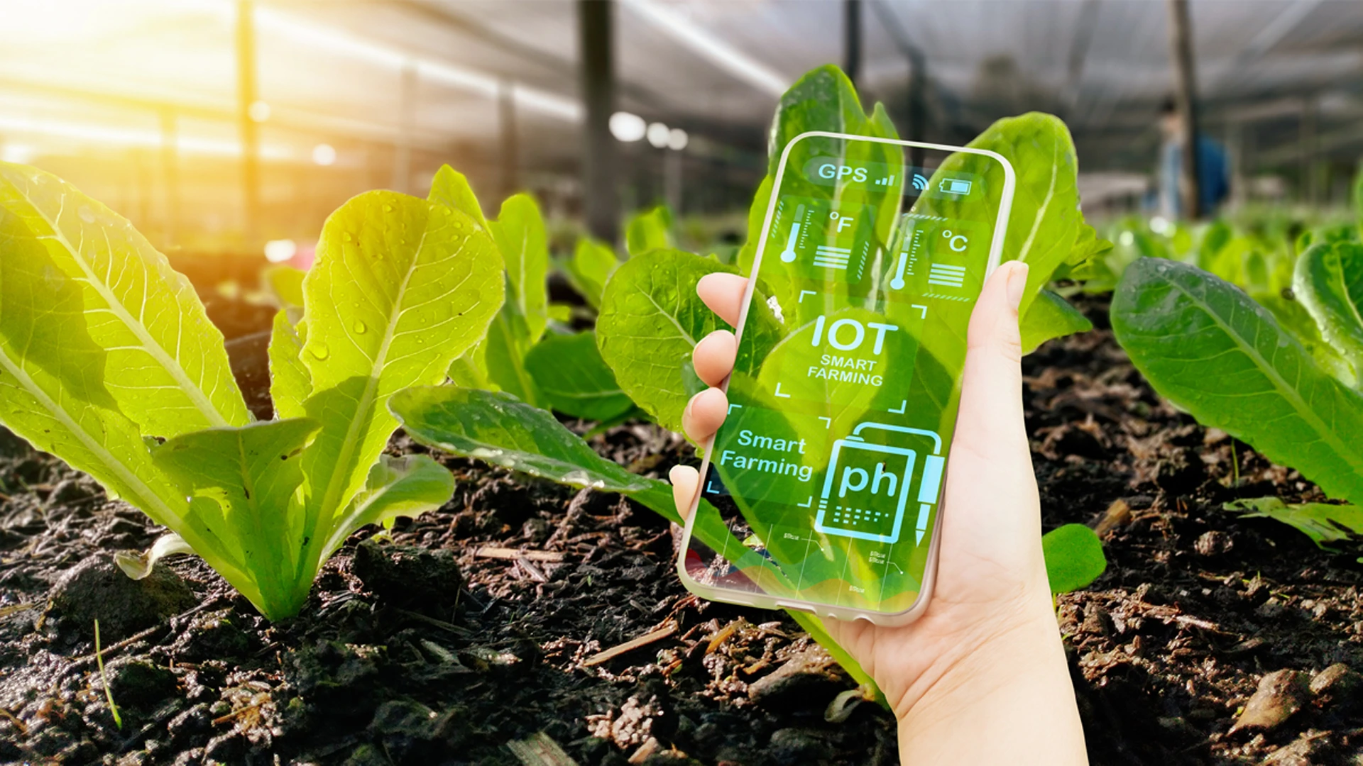 AI-created illustration of crop monitoring with a smart farming display